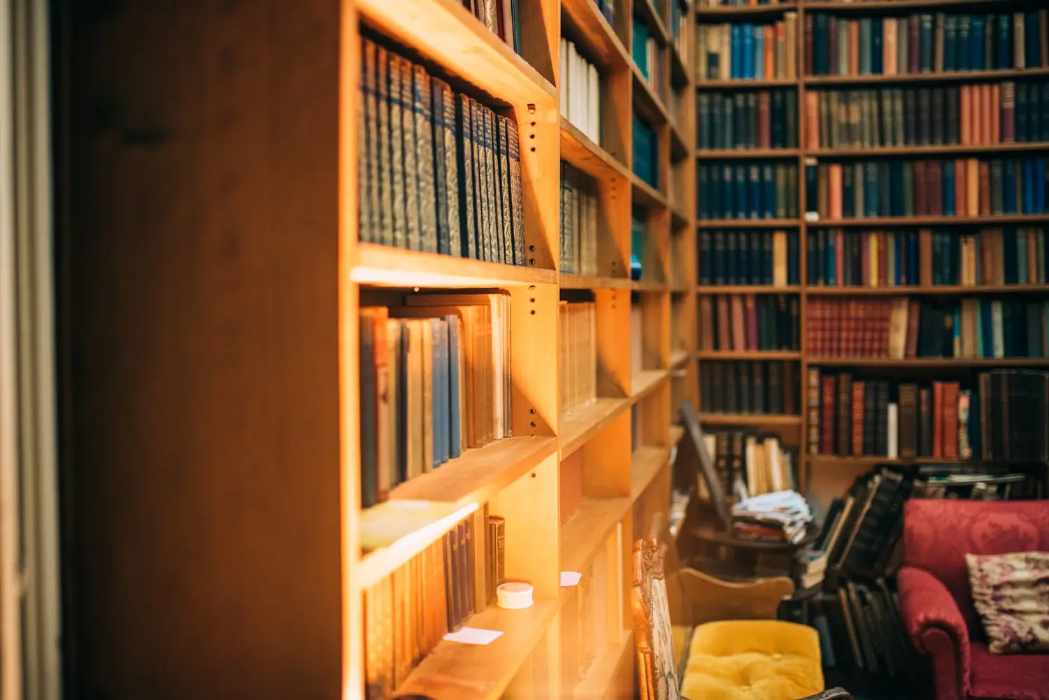 Jak zorganizować domową biblioteczkę inspirującą do rozwoju